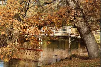 "Indian Summer" im Kurzentrum von Bad Salzuflen. - © Melanie Meyer