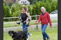 Shetlandponyturnier in Vahlhausen - © Daniela Cremer