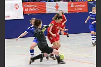 Impressionen von der LZ-Cup-Endrunde aus der Phoenix-Contact-Arena. Bei den Männern siegte der TBV Lemgo, bei den Frauen der FC Donop/Voßheide. - © Paul Cohen & Egon Penner