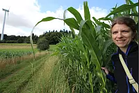 Traumhafte Aussichten auf dem kleinen Sternberger Rundweg in Extertal. - © Foto: Rademacher