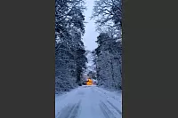 Im Winterwald am Donoper Teich entstand dieses Bild. - &copy; Mika Weiser