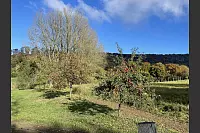 Goldener Herbst in Lippe - © Silke Buhrmester