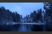 Dieses Foto entstand bei einem Ausritt durch den Winterwald. - &copy; Kathryn Landwehrmeyer
