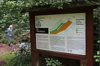 Wandern zum Lippischen Velmerstot und am Silberbach entlang. - © Janet König