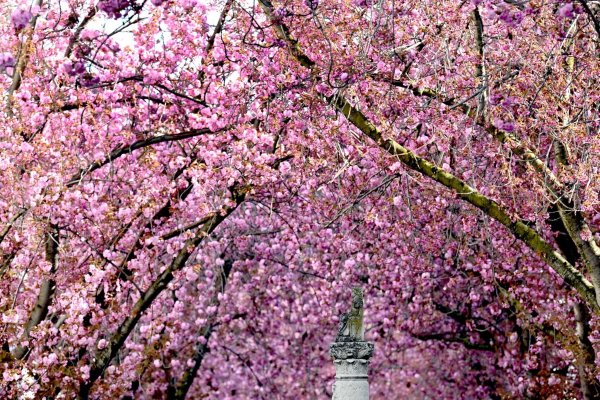 Am Freitag wird es in Nordrhein-Westfalen sonnig und warm. - © Federico Gambarini/dpa