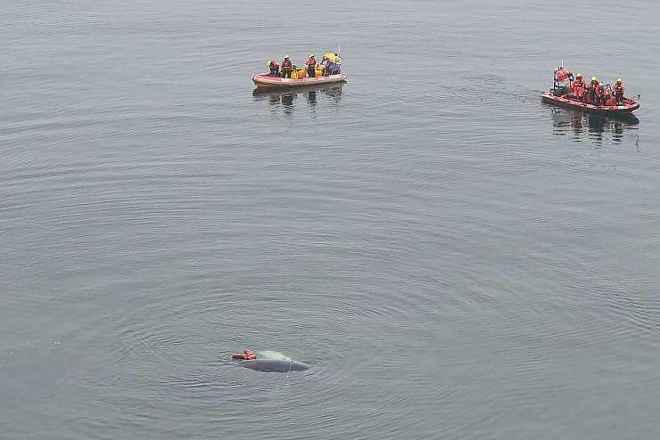 Die Helfer konnten den Buckelwal befreien. - © Maritime Search and Rescue Service/AP/dpa