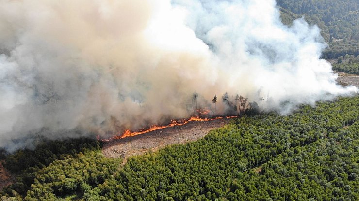 Der weltweite Verlust durch Waldbrände lag mit 11,9 Millionen Hektar 2023 ebenfalls auf Rekordniveau. (Archivbild) - © Michael Kling/Märkischer Kreis/dpa