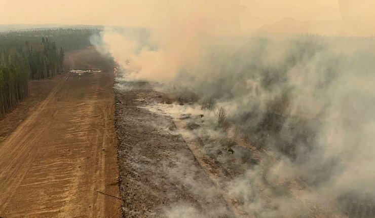 Der weltweite Verlust durch Waldbrände lag mit 11,9 Millionen Hektar 2023 ebenfalls auf Rekordniveau. (Archivbild) - © Gov. of Alberta Fire Service/The Canadian Press via AP/dpa