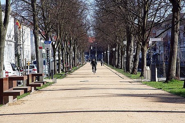 Frei zum Lustwandeln: Mit großem Aufwand ist die Allee nebst Kanal zwischen Willy-Brandt-Platz und Oberer Mühle saniert worden. Am Sonntag, 19. April, soll die Meile eingeweiht werden.Foto: koch