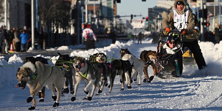 Mats Pettersson aus Schweden beim Iditarod-Hundeschlittenrennen in Anchorage. - © Bob Hallinen/Anchorage Daily News via AP/dpa