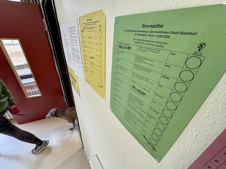 Digitale Wahlhilfen verzeichneten vorab Hunderttausende Klicks. - © Friso Gentsch/dpa