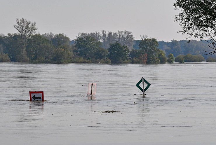Die Oder bei Ratzdorf (Oder-Spree) «verschluckt» inzwischen Schilder im Fluss. Der Pegelstand steigt auch noch weiter. - © Patrick Pleul/dpa