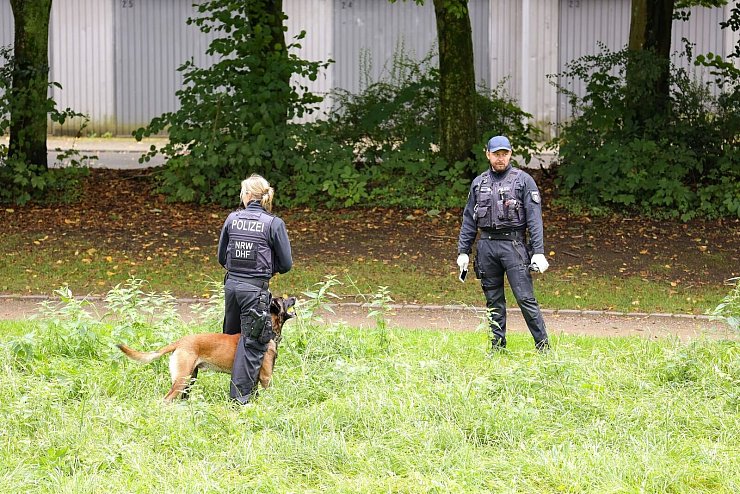 Ein Diensthund hilft bei der Suche. - © Gianni Gattus/dpa