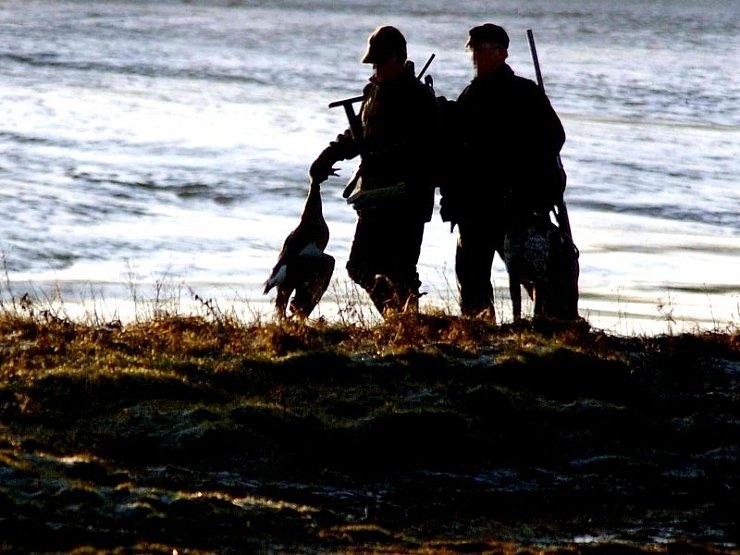 Zwei Gänsejäger kehren von der Jagd zurück. Immer mehr Jagden werden in diesen Wochen abgesagt, da die Bestände an Niederwild teils drastisch zurückgehen. - © FOTO: DPA