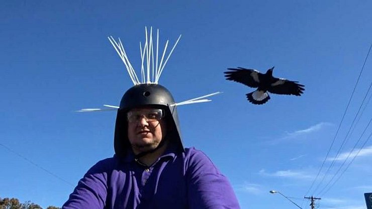 Youtuber Daniel Fitzgerald testet seinen Anti-Magpie-Helm. - © Daniel Fitzgerald