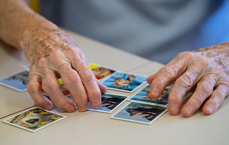 Das Spielen von Memory soll gegen den Gehirnabbau wirken. - © Sven Hoppe/dpa