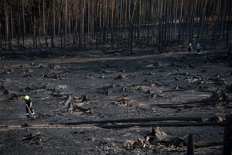 Auf der Saalfelder Höhe in Thüringen konnten die Einsatzkräfte über Nacht eine Ausbreitung verhindern. - © Daniel Vogl/dpa