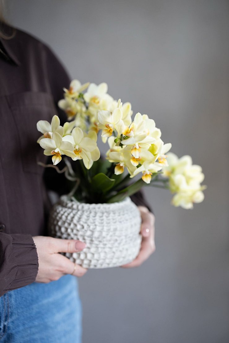 Orchideen als Tischschmuck: In einer Schale arrangiert auch ein schönes Mitbringsel an Ostern. - © orchidsinfo/GPP/dpa-tmn