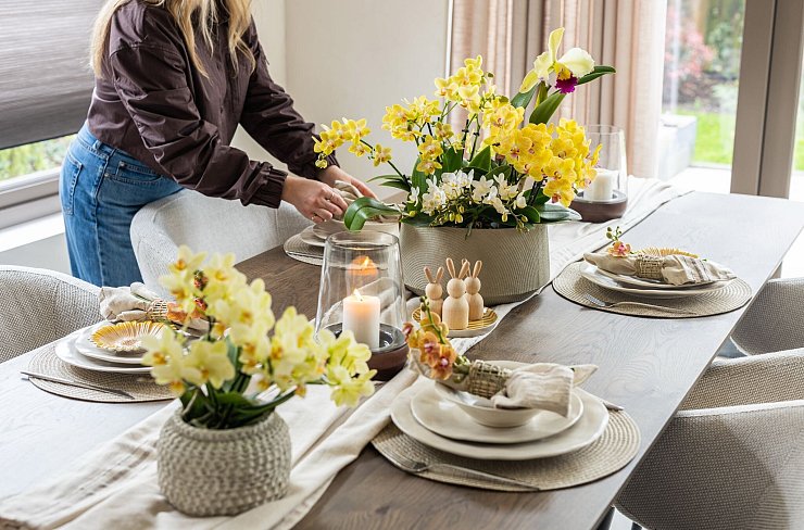Gelbe Blumen für Ostern: Statt klassischer Frühlingsblumen können auch Orchideen die Festtafel schmücken. - © orchidsinfo/GPP/dpa-tmn