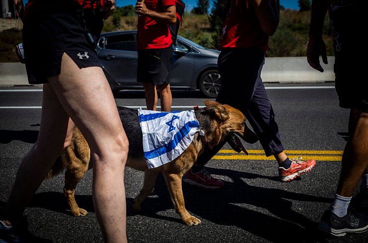 Ein Gegendemonstrant hat auf den Marsch nach Jerusalem seinen Hund mitgebracht. - © Ilia Yefimovich/dpa