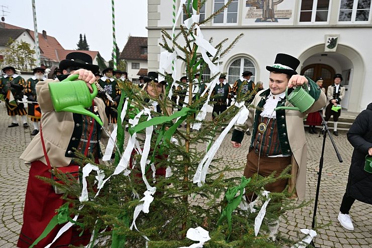 Im oberschwäbischen Kißlegg stand das Gießen des kleinen Narrenbaums an. - © Felix Kästle/dpa