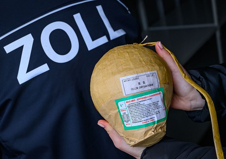 Eine beschlagnahmte Kugelbombe. (Archivfoto) - © Patrick Pleul/dpa
