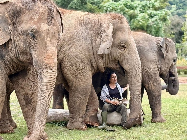 Oft singt Lek ihren Elefanten Schlaflieder, um sie zu beruhigen. - © Carola Frentzen/dpa