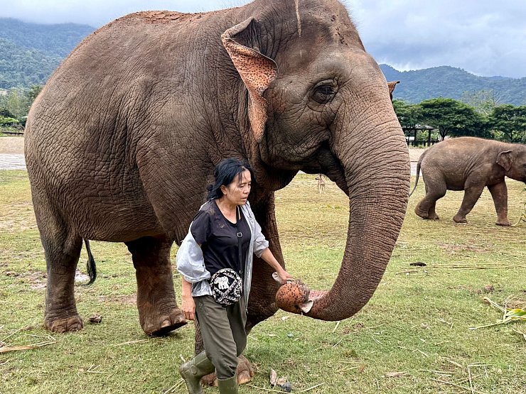 Lek ist für ihre Arbeit vielfach ausgezeichnet worden. - © Carola Frentzen/dpa