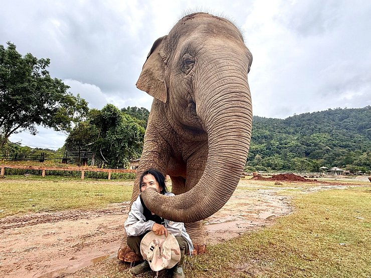 Mit ihren Rüsseln scheinen die Elefanten ihre Retterin zärtlich zu streicheln. - © Carola Frentzen/dpa