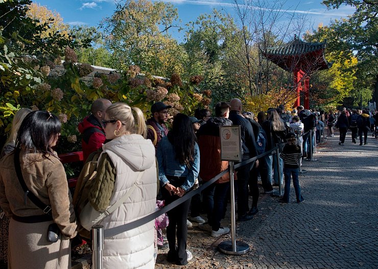 Manch ein Panda-Fan stellt sich sogar zwei Mal in die Schlange. - © Paul Zinken/dpa