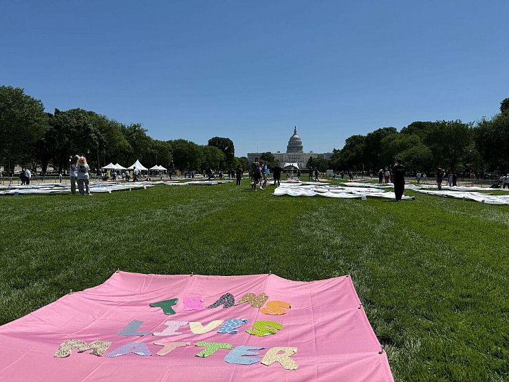 „Trans Lives Matters“ - auf der National Mall vor dem Kapitol sind am ersten Tag der Worldpride verschiedene Banner zu sehen, auf denen die Rechte von Transpersonen eingefordert werden. - © Franziska Spiecker/dpa