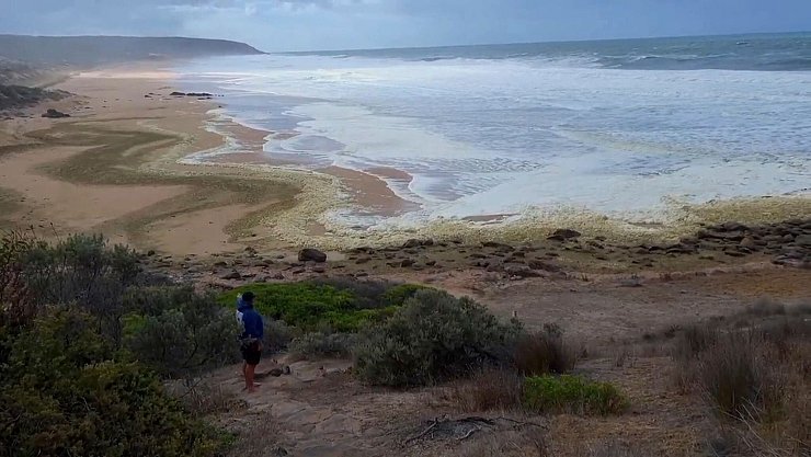 Die betroffenen Strände wurden zunächst gesperrt. - © Uncredited/Australian Broadcasting Corp/AP/dpa