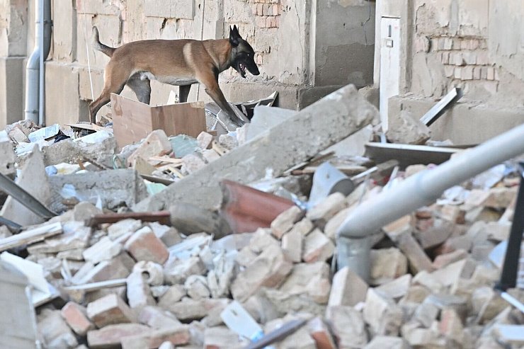 Die Trümmer wurden mit einem speziell ausgebildeten Spürhund durchsucht. - © Pavlíèek Lubo?/CTK/dpa