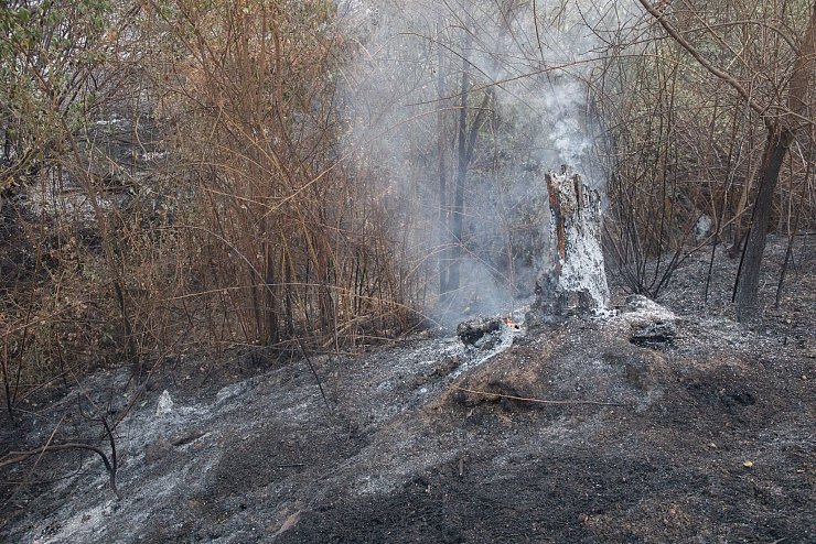 Bei dem Feuer in Tres Cantos kam ein Mann in den Flammen ums Leben. - © Rafael Bastante/EUROPA PRESS/dpa
