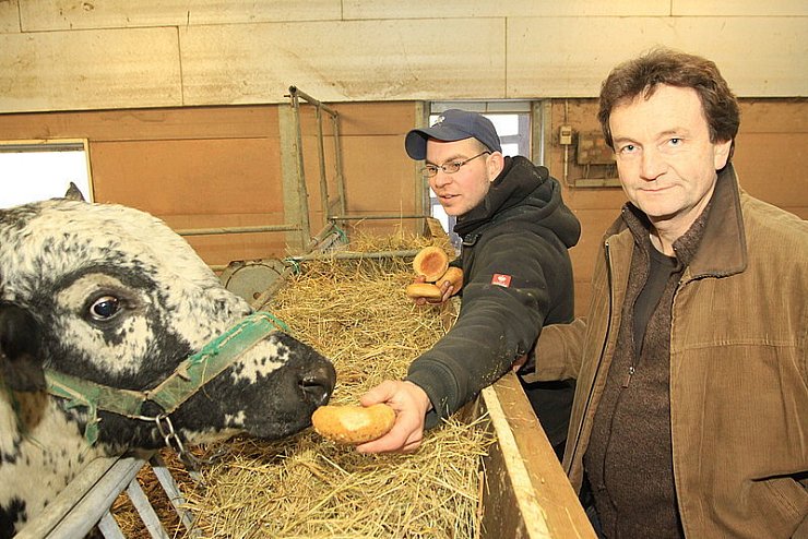 Der Zebu-Bulle hat sich die Brötchen, die ihm sein Besitzer Felix Hohmeyer gibt, redlich verdient. Gemeinsam mit Franz-Josef Palsmeyer (rechts) hat er die wilde Heide gebändigt. - © Fotos: Lahr