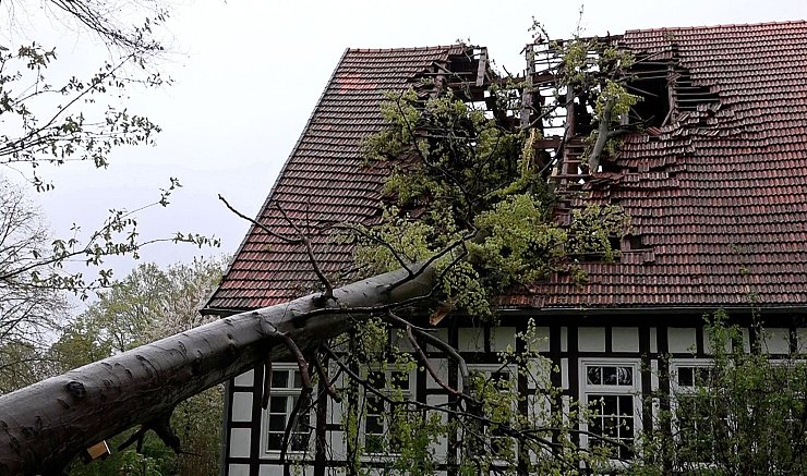 Ein Baum hat im Kreis Steinfurt (Nordrhein-Westfalen) infolge des Sturms das Dach eines Fachwerkhauses schwer beschädigt. - © Michel Fritzemeier/tv7news/dpa