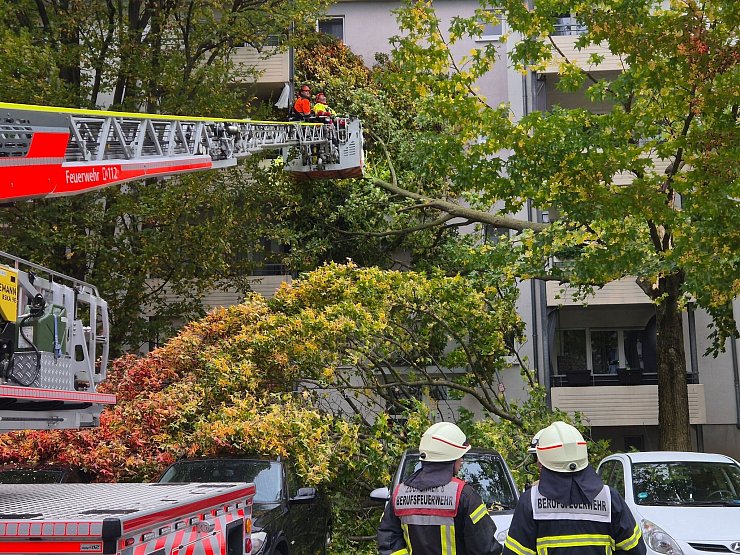 Nach ersten Erkenntnissen wurde bei dem Sturm niemand verletzt. - © Sascha Thelen/dpa