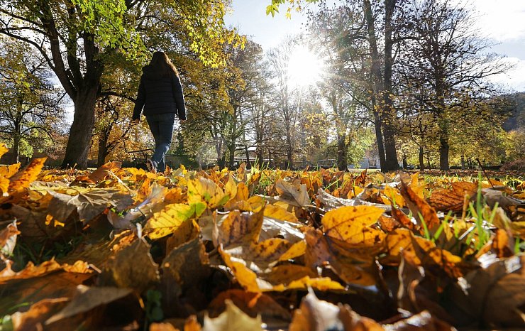 Die Sonne ist längst nicht überall zu sehen und zeigt sich eher sporadisch. - © Thomas Warnack/dpa