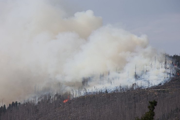 Vor zwei Jahren hatte der Landkreis Harz den Katastrophenfall wegen eines Brandes am Brocken ausgerufen - jetzt ist dort wieder ein Feuer ausgebrochen. - © Matthias Bein/dpa