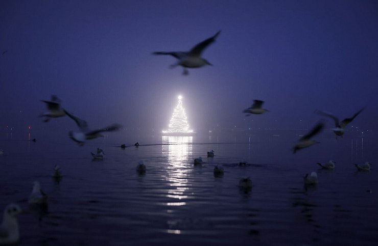 Künstliche Beleuchtung beeinflusst das Verhalten von Vögeln. (Archivbild) - © Christian Charisius/dpa