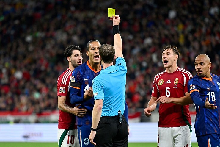 Im Disput mit Schiedsrichter Lukas Fähndrich: Virgil van Dijk - © Denes Erdos/AP/dpa