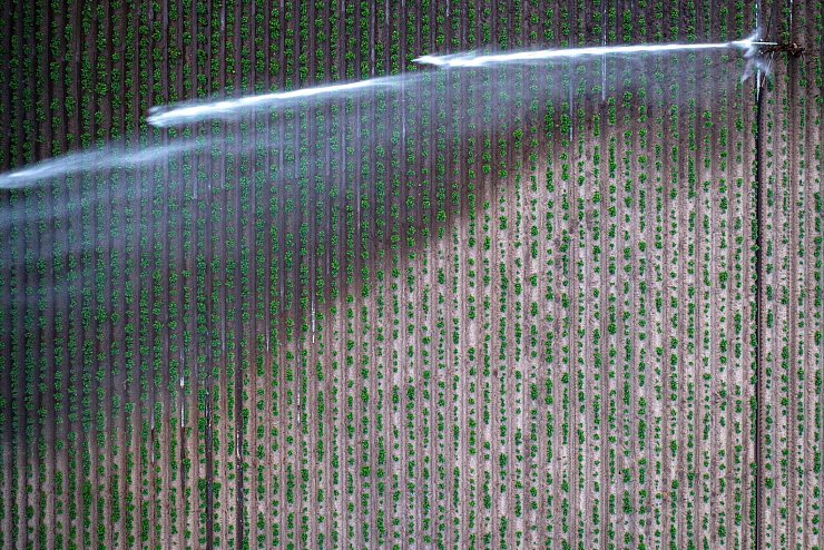 Bewässern ist teuer - derzeit aber vielfach nötig. - © Sina Schuldt/dpa