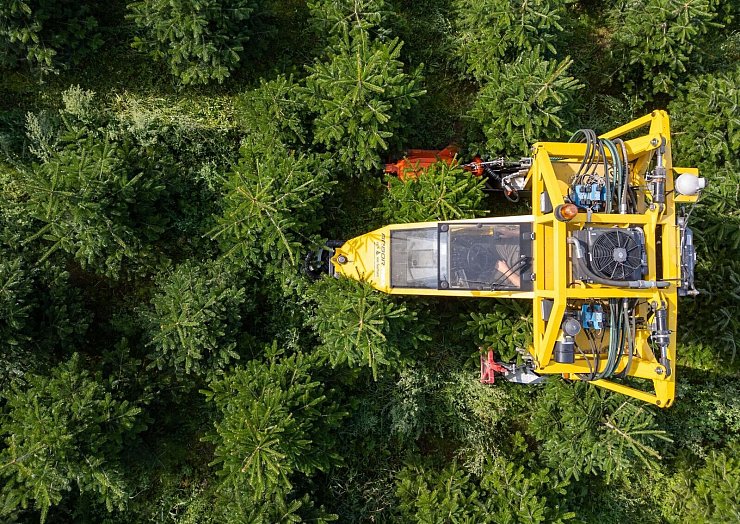 Mit seinem Baumschultraktor fährt Robert Kleinstäuber vom Weihnachtsbaumhandel «een Baum aus Sachsen» durch eine Plantage mit Nordmanntannen. - © Robert Michael/dpa