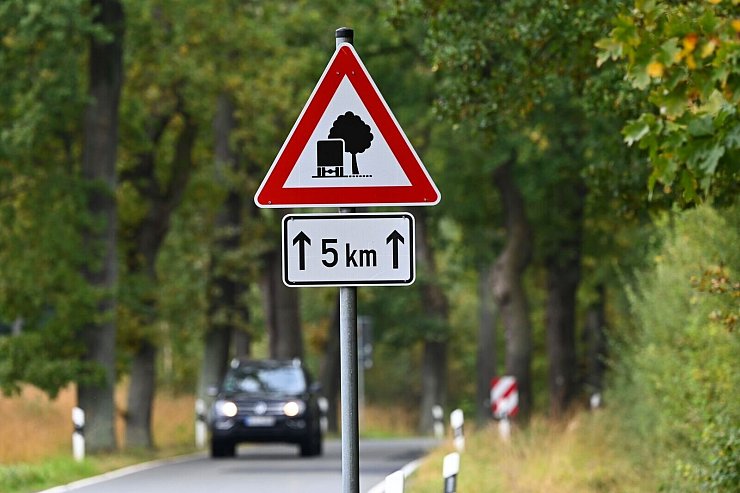 Für die Verkehrssicherheit müssen Alleen regelmäßig kontrolliert werden. - © Uwe Zucchi/dpa