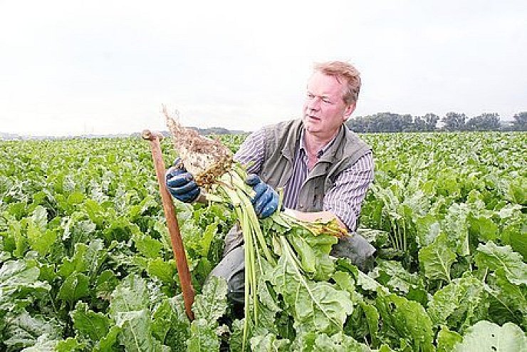 Gerrit Abel, Landwirtschaftlicher Berater der Zuckerfabrik. - © Foto: Doris Lüdeking