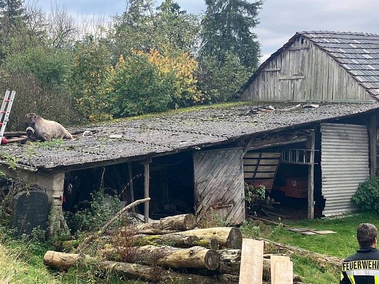 Die Platten des Daches waren nicht für die Last von rund 400 Kilogramm ausgelegt. - © Freiwillige FW Ruppichteroth /dpa