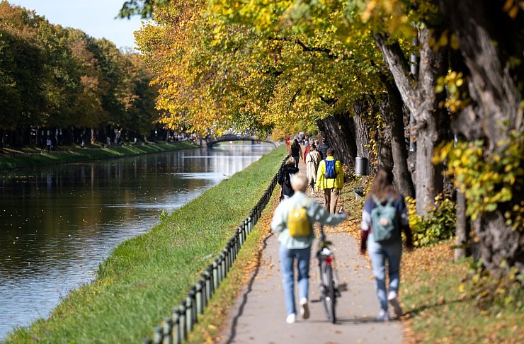 Nicht nur im Nymphenburger Park - in Parks mit alten Bäumen und vielen Wildtieren fühlen sich auch Zecken wohl. (Archivfoto) - © Sven Hoppe/dpa