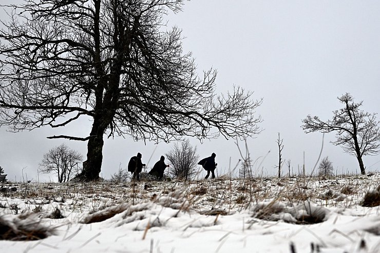 Wanderer gehen auf dem Kahlen Asten durch die Schneelandschaft. - © Federico Gambarini/dpa