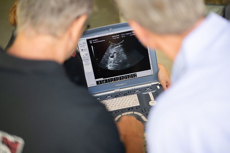 Zoo-Direktor Andreas Knieriem und Tiermediziner Thomas Hildebrandt schauen auf ein Ultraschallbild der Pandazwillinge. Sogar der Herzschlag ist für die Fachleute zu erkennen. - © Sebastian Gollnow/dpa