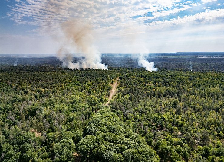 Rauch steigt in der Gohrischheide in den Himmel. - © Robert Michael/dpa